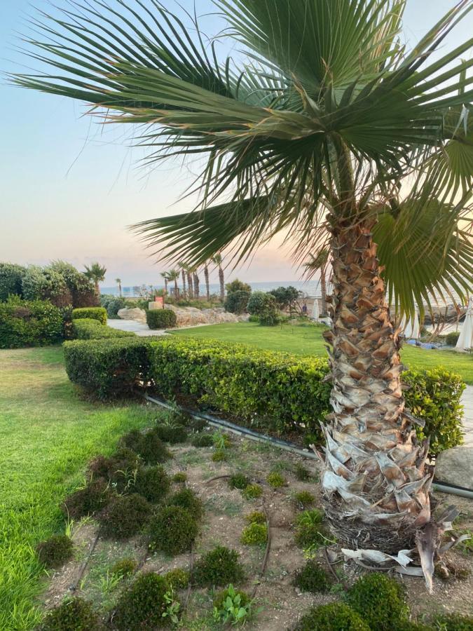 Royal Seacrest F G5 Ground Floor Apartment Пафос Екстериор снимка